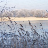 winter natuur 048